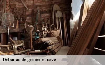 Débarras de grenier et cave  86120