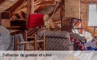 Débarras de grenier et cave  86120